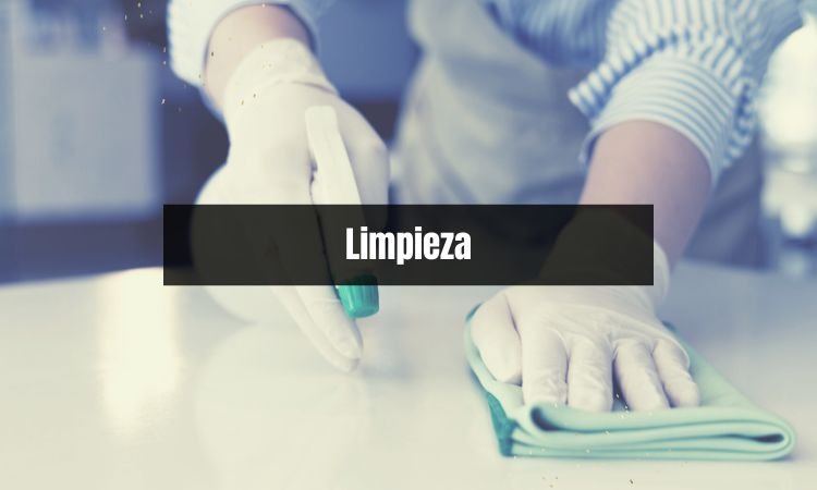Carta de recomendación laboral personal de limpieza